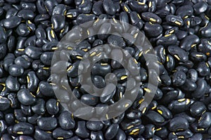 Black bean