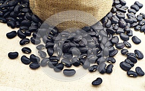 Black bean with fabic blackground