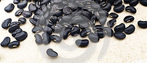 Black bean with fabic blackground