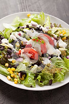 Black Bean Southwest Salad with various toppings