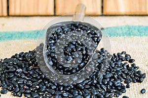 Black beans seeds