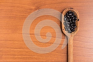 Black beans into a spoon. Phaseolus vulgaris 'Black turtle