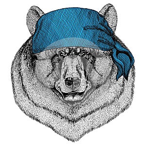 Black bear American bear Wild animal wearing bandana or kerchief or bandanna Image for Pirate Seaman Sailor Biker
