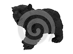 Black bear illustration photo