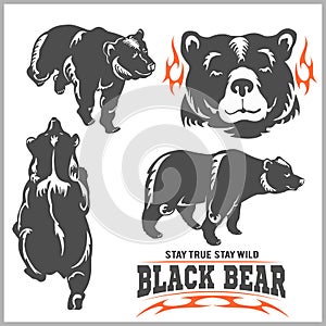 Black bear for logo, sport team emblem, design elements and labels photo
