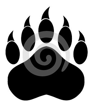 Black Bear Paw With Claws