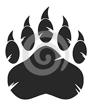 Black Bear Paw With Claws photo