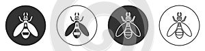 Black Bee icon isolated on white background. Sweet natural food. Honeybee or apis with wings symbol. Flying insect