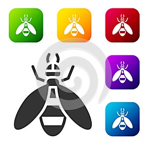 Black Bee icon isolated on white background. Sweet natural food. Honeybee or apis with wings symbol. Flying insect. Set