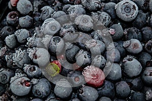 Frozen bilberries - texture