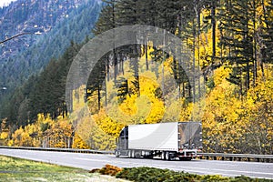 Black big rig long hauler semi truck transporting cargo in reefer semi trailer driving on the highway road with yellow autumn