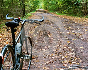 Black bike in forest in autumn, bike on forest trail