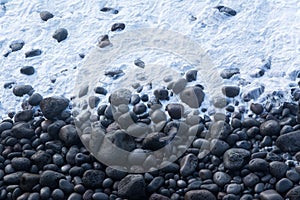 A black bird flying over a stony beach in Iceland