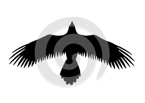 Black bird flying vector illustration