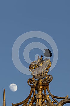 Black bird sitting on ornate lamp post in Brighton with the moon as  a backdrop