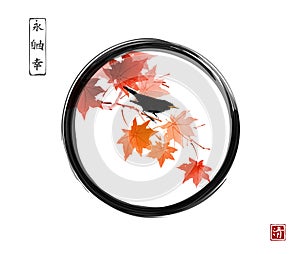 Black bird sitting on red maple tree in black enso zen circle on white background. Traditional oriental ink painting