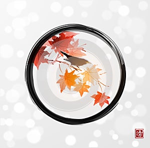 Black bird sitting on red maple tree in black enso zen circle on white background. Traditional oriental ink painting