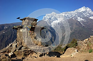 Black bird started flying from old buddhist stupa in Himalaya mountainst