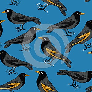 Black birds with orange beaks seamless pattern