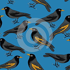 Black birds with orange beaks seamless pattern. Vector illustration on blue background