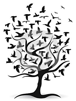 Black birds tree background vector