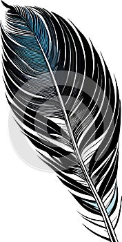 black and blue decorative bird feather without background