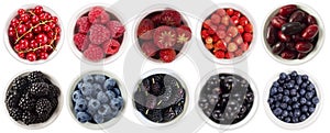 Black-blue and red berries isolated on white background. Collage of different fruits and berries. Blueberry, blackberry, mulberry,