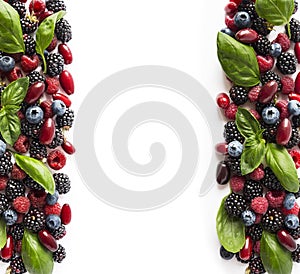 Black-blue and red berries isolated on white. Ripe blackberries, blueberries, raspberries, cornels and basil leaves on white backg