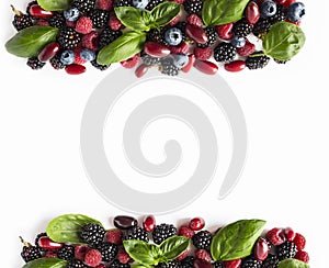 Black-blue and red berries isolated on white. Ripe blackberries, blueberries, raspberries, cornels and basil leaves on white backg