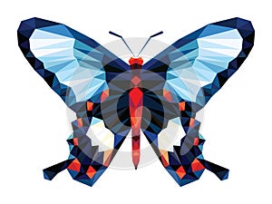 Black blue and red dot butterfly low polygon on white background