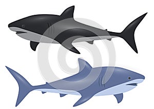 Black and blue shark in the set.