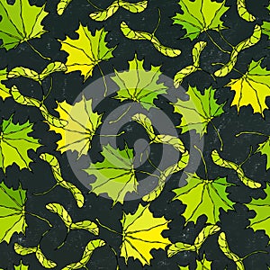 Black Board. Seamless Endless Pattern of Green Maple Leaves and Seeds. Autumn or Fall Harvest Collection. Realistic Hand Drawn Hig photo