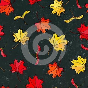 Black Board. Seamless Endless Pattern of Maple Leaves and Seeds Red,, Orange and Yellow. Realistic Hand Drawn High Quality Vector photo