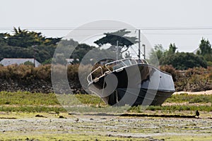 Black boat grounded at low tide