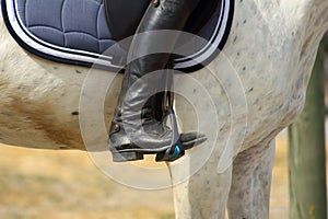 Black boot of rider in the stirrup tighten on the horse, the foot in the stirrup