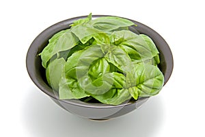 Black bowl with fresh basil leaves