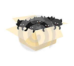 Black Box with kittens. Cats in cardboard box. Vector illustration