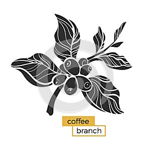 Black branch of coffee tree with leaves and natural coffee beans. Silhouette, shape. Vector