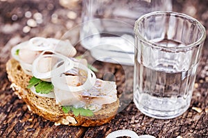 Black bread with herring and vodka