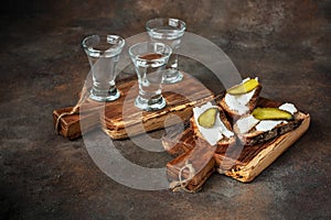 Black bread with the softened lard as  snack and vodka in glass shot