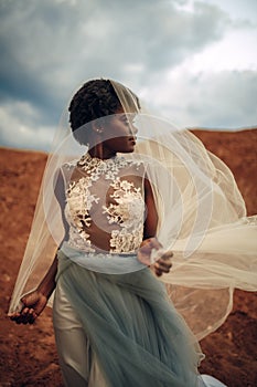 Black bride in wedding dress and bridal veil stands on background of beautiful landscape.