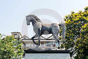 Black bronze  Kala Ghoda Statue, a horse statue in the downtown of Mumbai, India
