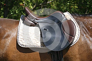 Black and brown leather saddle on back of a horse