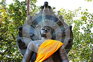 The black Buddha statue sheltered by naga hood
