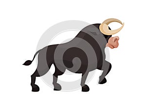 Black bull with big horns. Vector illustration on white background.