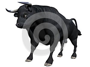 Black bull illustration