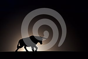 Black bull silhouette