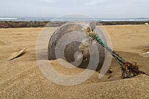 Black buoy on sand