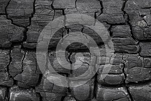 Black burned carbonized wood texture close-up image