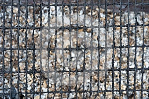 black burnt grid on the grill over gray coals